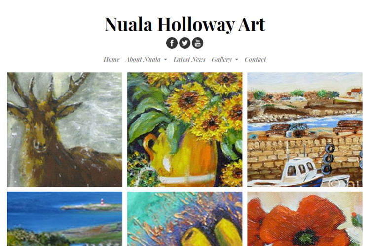 Website Design & Development for a Dublin Artist Nuala Holloway
